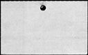 00559250.jpg