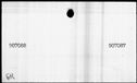 00563290.jpg
