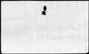 00513906.jpg