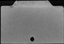 00565572.jpg