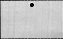 00519384.jpg
