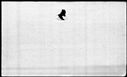 00519592.jpg