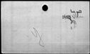 00519602.jpg