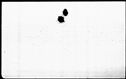 00519614.jpg