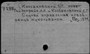 00519721.jpg