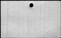 00519732.jpg