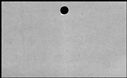 00361298.jpg