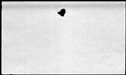 00362080.jpg