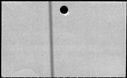 00847438.jpg