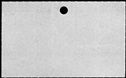 01019584.jpg