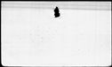 00571952.jpg