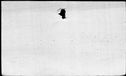 00571960.jpg