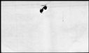00577970.jpg