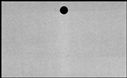 00580492.jpg