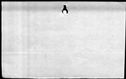 00370890.jpg
