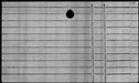 00377456.jpg