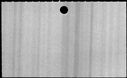 00377590.jpg