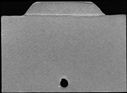 00384394.jpg
