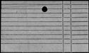 00585446.jpg