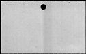 01024558.jpg