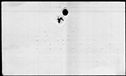 01024598.jpg