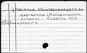 01031305.jpg
