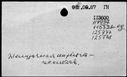 00588942.jpg