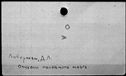 00589544.jpg