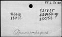 00591766.jpg