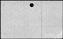 00592368.jpg