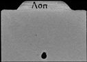 01039015.jpg