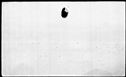 00861948.jpg