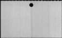00864524.jpg