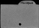 00872967.jpg