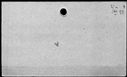 00875410.jpg