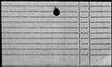 00873846.jpg