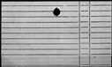 00876874.jpg