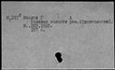 00879247.jpg