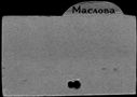 00879539.jpg