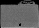 00880199.jpg