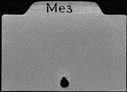00892919.jpg