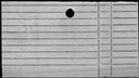 00894404.jpg