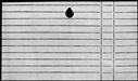 00618860.jpg