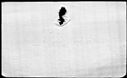 00619350.jpg