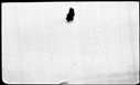 00619406.jpg