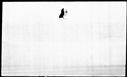 00619804.jpg