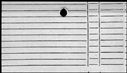 00902194.jpg