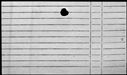 01076732.jpg
