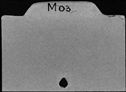 00760111.jpg