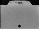 00791687.jpg